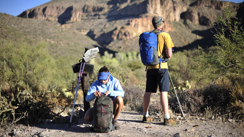 Des routards dans la forêt nationale de Tonto