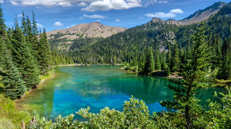 Grand lac dans le parc national olympique par une journée ensoleillée