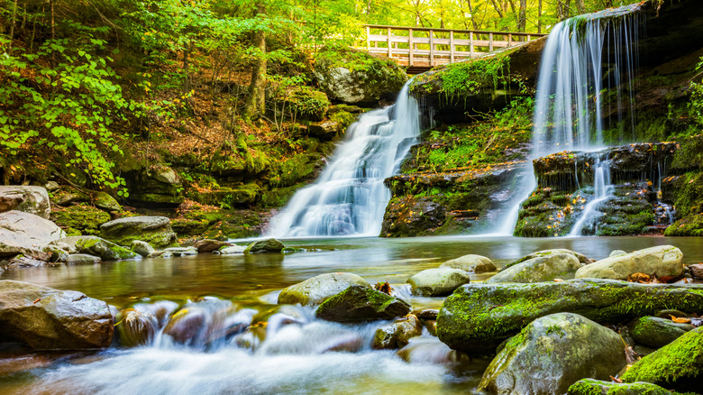 Cascades dans les montagnes de Catskill