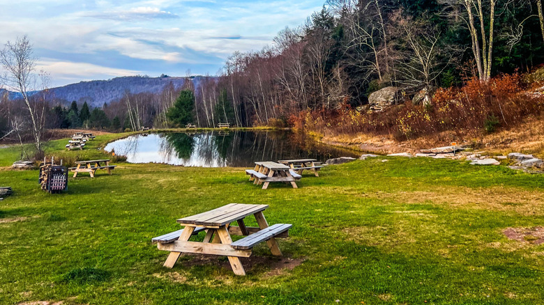 Tables de pique-nique à l'extérieur d'une brasserie Livingston Manor