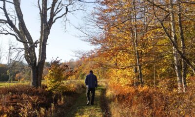 Un village tranquille de Catskills de New York est un centre créatif parfait pour les évasions du week-end