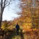 Un village tranquille de Catskills de New York est un centre créatif parfait pour les évasions du week-end