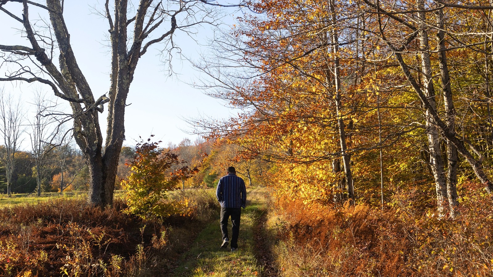 Un village tranquille de Catskills de New York est un centre créatif parfait pour les évasions du week-end