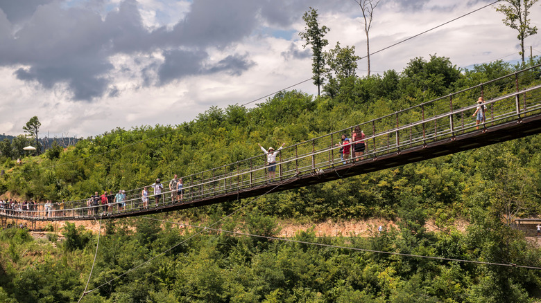 Traverser le Skybridge dans le parc national des montagnes fumées