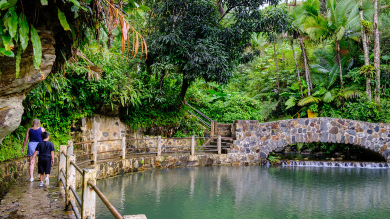 Bridge de pierre historique El Yunque Forest National