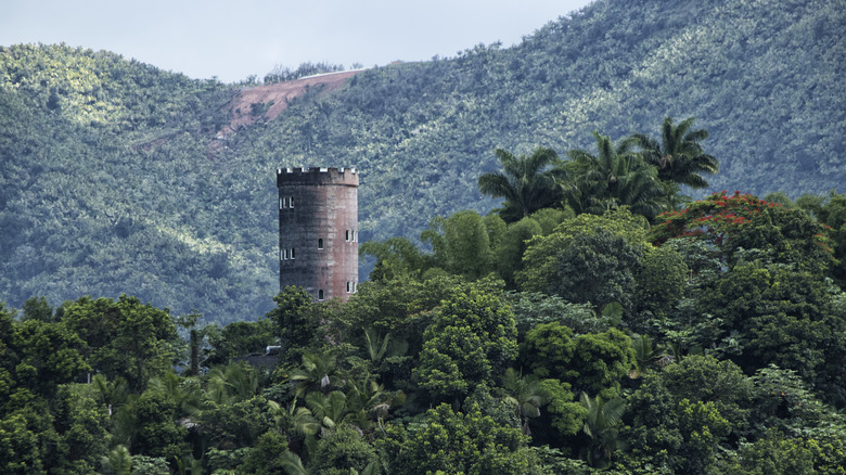 Tour historique dans la forêt tropicale