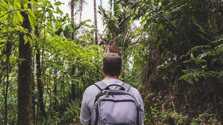 Homme à faire de la randonnée dans la forêt tropicale avec un sac à dos