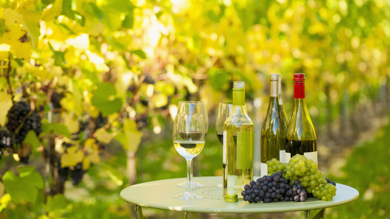 Bouteilles de vin dans un vignoble