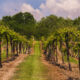 Le secret de vin le mieux gardé du Midwest est caché dans cette ville historique du Missouri