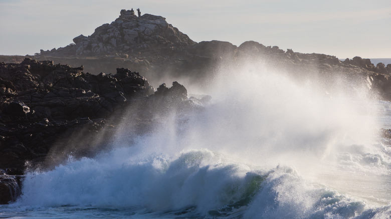 Les grosses vagues fouettent le rivage sur la côte centrale de Californie