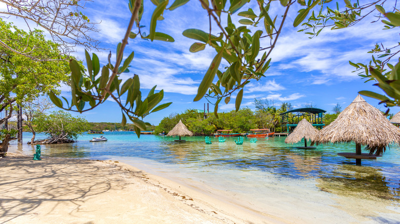 Plage avec mangroves et toit de palmiers Palapas dans la mer