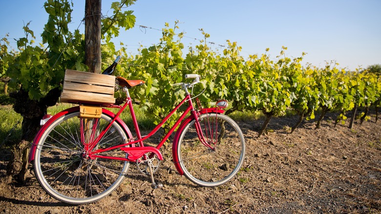 Un vélo rouge se penche contre un poteau dans un vignoble