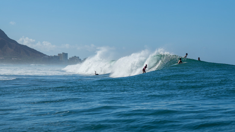 Surfers dans l'eau à Ala Moana Beach Park