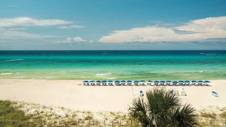 Plage de Panama City avec une rangée de chaises de parapluie