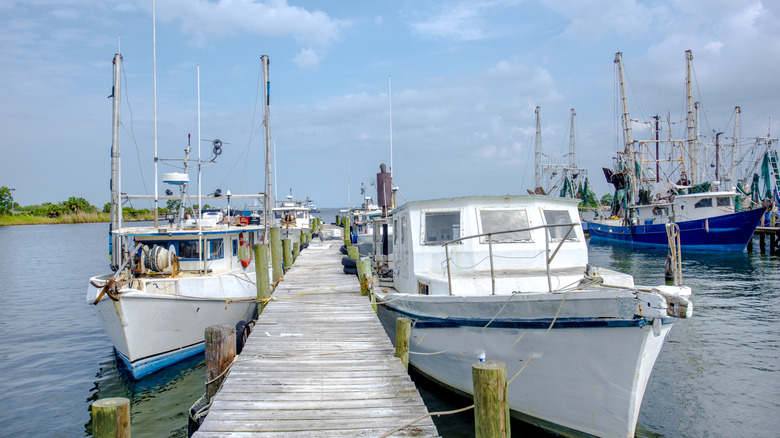 Bateaux de crevettes en Floride le long d'un quai