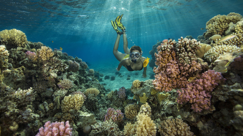 Une femme tubonnes parmi le corail