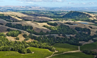 Un hôtel de rêve à Sonoma propose des cheminées dans la chambre, des promenades de vignobles et des dégustations de vins sur le toit