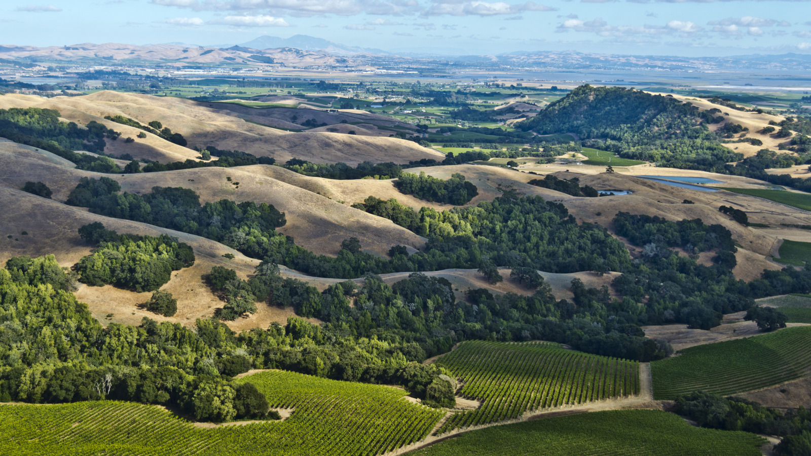 Un hôtel de rêve à Sonoma propose des cheminées dans la chambre, des promenades de vignobles et des dégustations de vins sur le toit