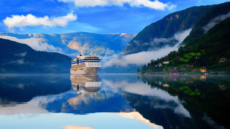 Bateau de croisière dans des eaux fixes de fjord