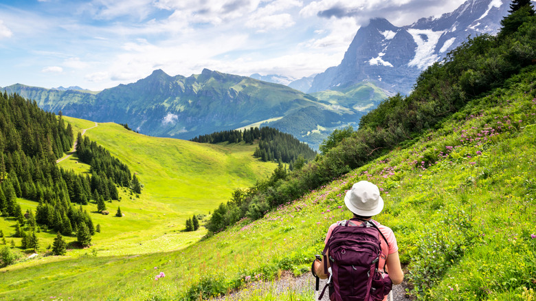 Giker profite d'une vue alpine en Suisse