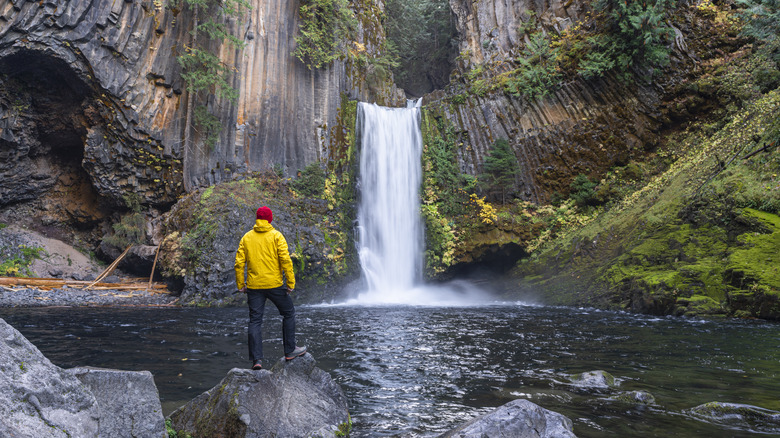 Un homme admire une cascade dans la forêt nationale d'Umpqua