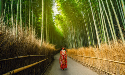 L'un des meilleurs sites les plus visités de Kyoto est une promenade sereine à travers une forêt de bambou à couper le souffle