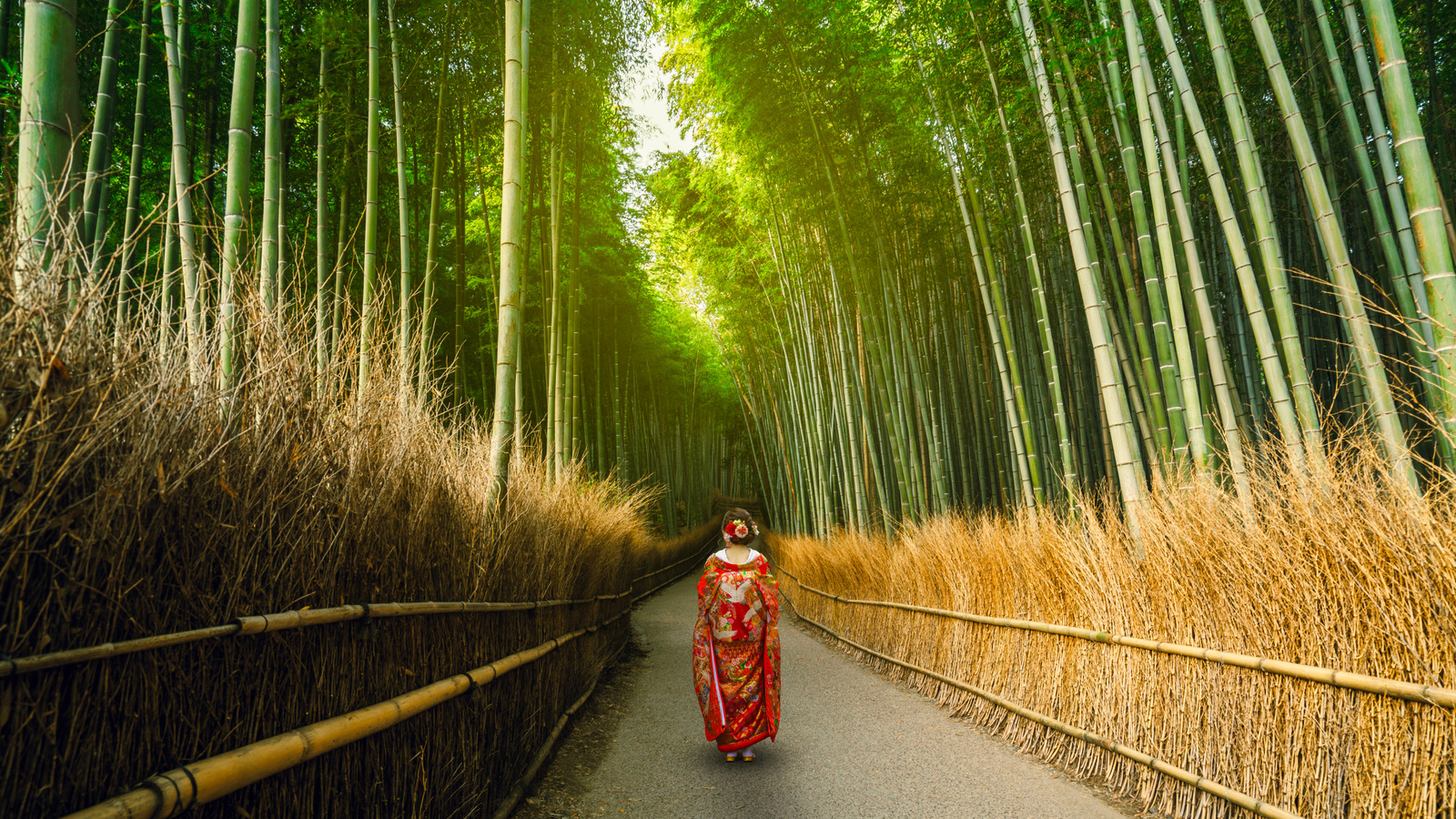 L'un des meilleurs sites les plus visités de Kyoto est une promenade sereine à travers une forêt de bambou à couper le souffle