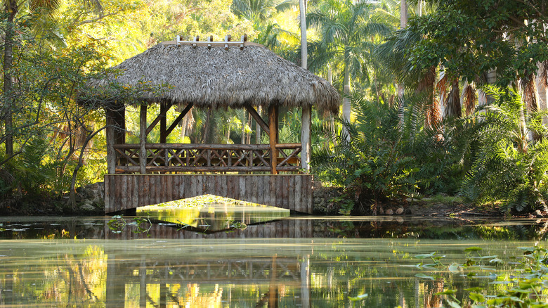 Une cabane de Chickee sur l'eau