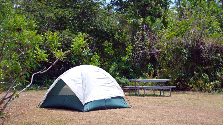 Un camping dans les Everglades