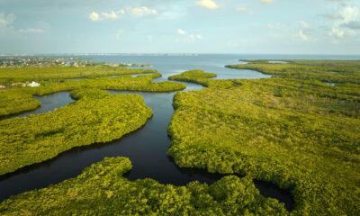 L'expérience de camping sur l'eau spectaculairement unique que vous ne pouvez avoir que dans les Everglades en Floride