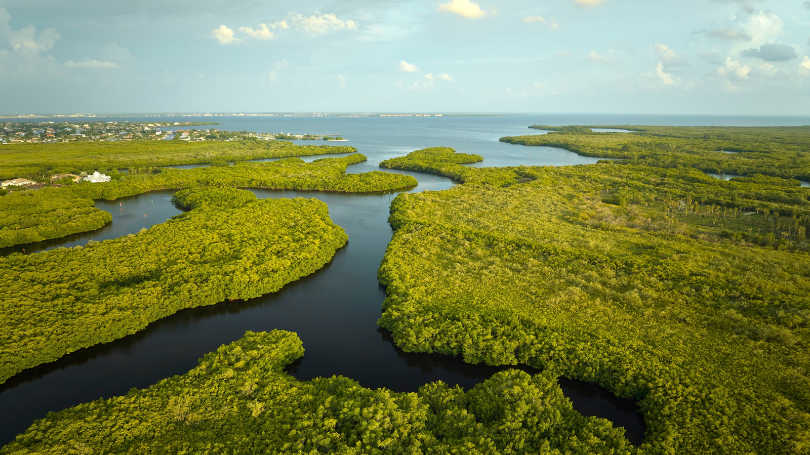 L'expérience de camping sur l'eau spectaculairement unique que vous ne pouvez avoir que dans les Everglades en Floride