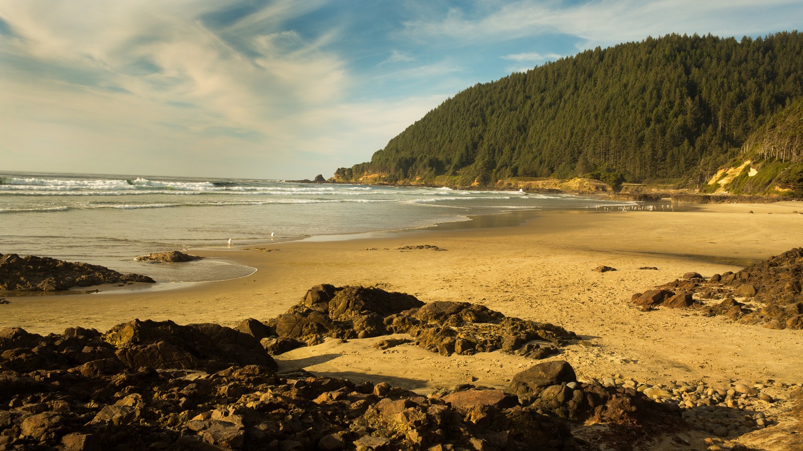 La plage de l'Oregon avec une grotte maritime secrète, des piscines de marée et une chance de repérer les baleines