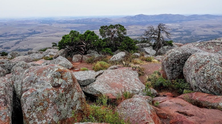 Roches, arbustes et arbres autour du mont Scott dans l'Oklahoma