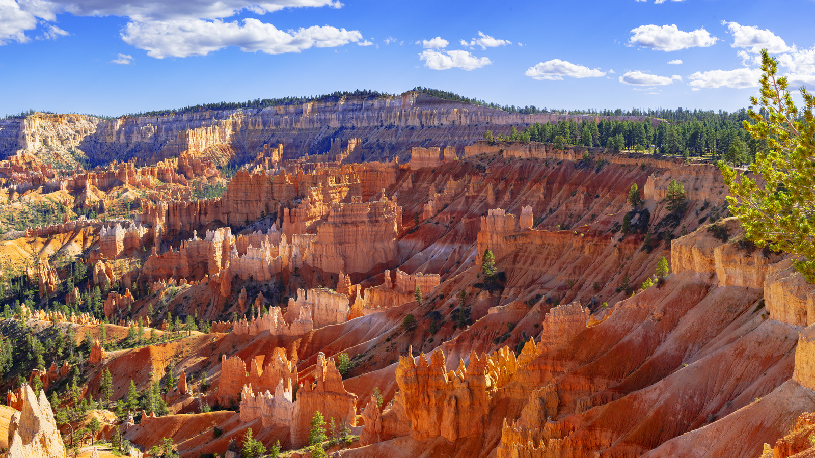 Juste à l'extérieur d'une entrée du parc national de Bryce Canyon se trouve ce petit lodge rustique très abordable