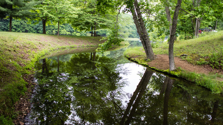 Les arbres se reflètent dans l'eau de la rivière Scioto à Chillicothe Ohio