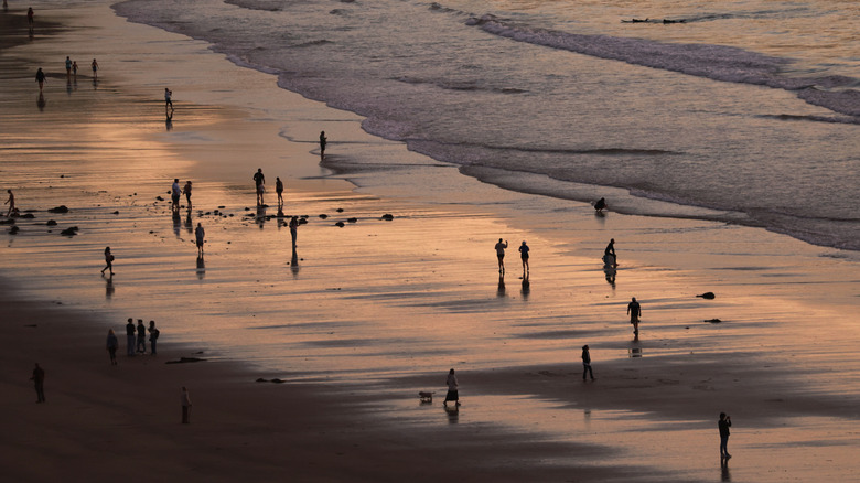 Marée basse à La Jolla Beach, Californie