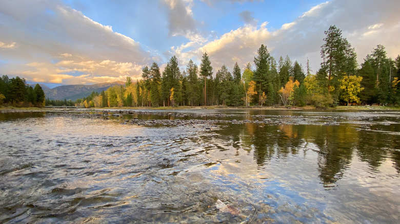 Lac Flathead, Montana