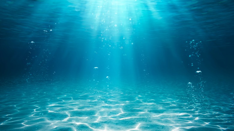 Une scène sous-marine illuminée par des rayons de soleil à travers la surface de l'eau