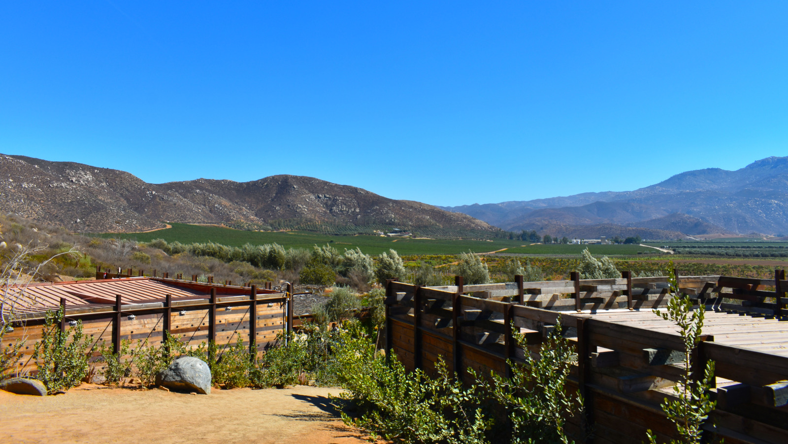 La célèbre région viticole du Mexique à Baja Californie propose des dégustations et des visites stellaires