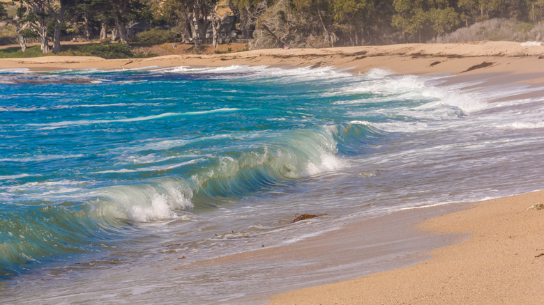 Des vagues fortes sur le rivage de la plage du monastère de Californie