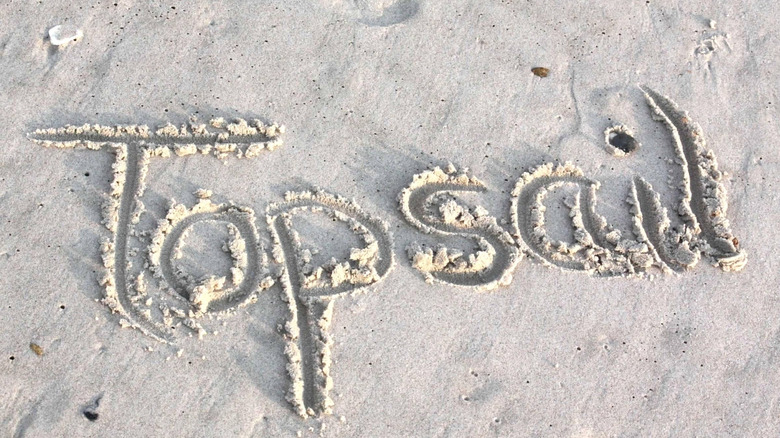 Topsail écrit dans du sable sur la plage