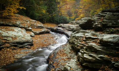 Le parc d'État de Pennsylvanie avec des toboggans naturels, un rafting en eau vive et des sentiers sans fin