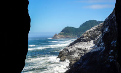 L'Oregon's Coast abrite la plus grande grotte marine américaine avec des vues sur la faune inégalée