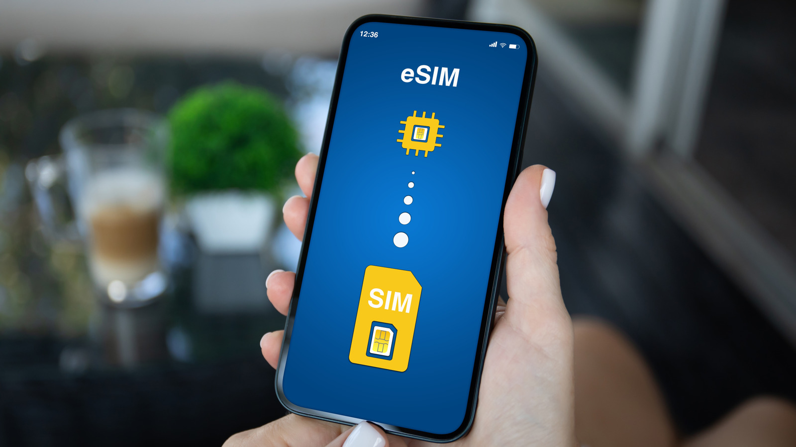 Un ESIM fonctionnera-t-il avec votre iPhone? Voici comment découvrir