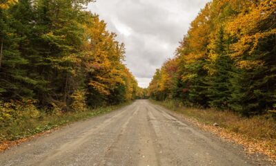 Un vrai goût de la nature se trouve sur la route unique du Maine à travers une forêt dense et pittoresque