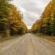 Un vrai goût de la nature se trouve sur la route unique du Maine à travers une forêt dense et pittoresque