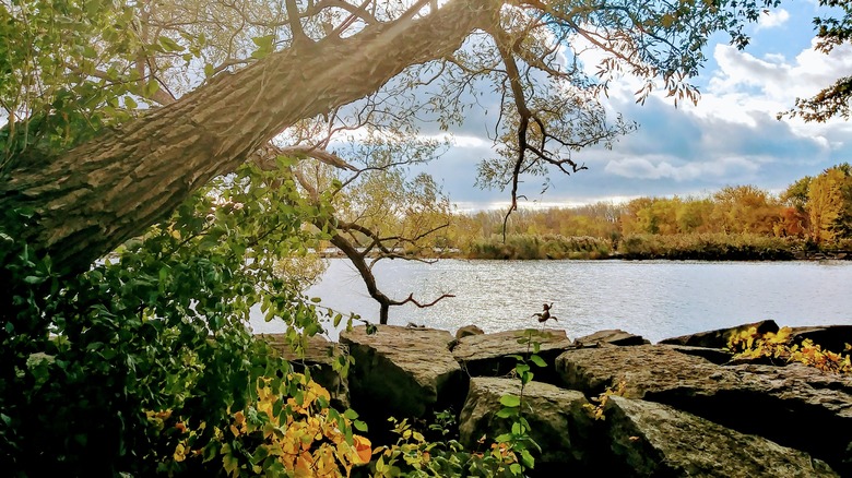 Willow Bay à Onondaga Lake Park à New York