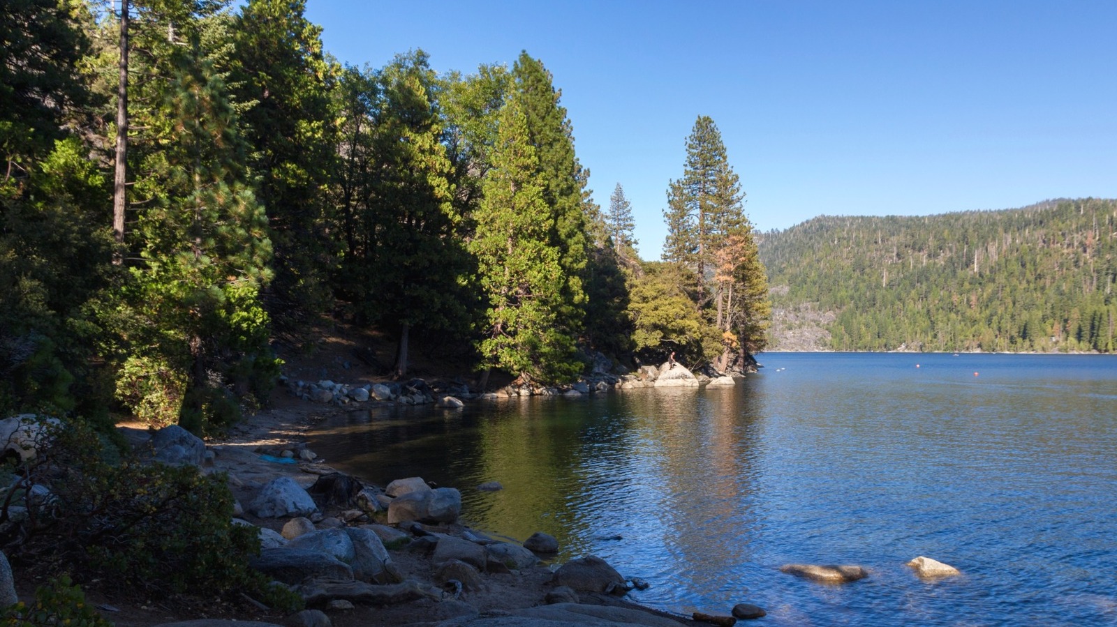 La forêt nationale de Stanislaus en Californie abrite ce lac sous-estimé qui rivalise avec Tahoe