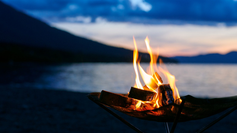 Un feu de camp au crépuscule sur le lac