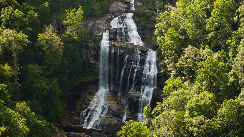 Cascade à Blue Ridge Mountains en Caroline du Nord